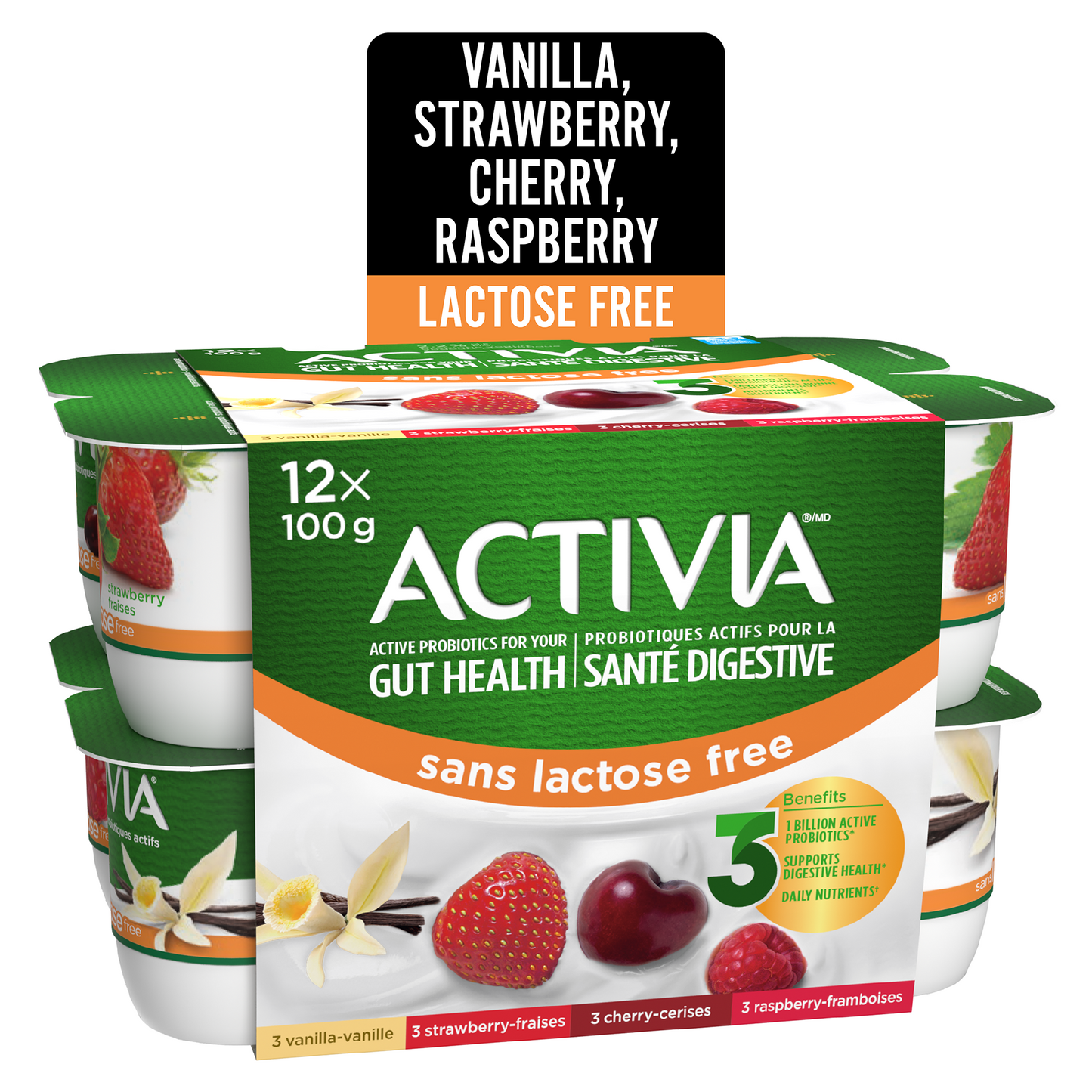 Activia Probiotic Yogurt, Lactose Free, Vanilla/Raspberry/Cherry/Strawberry, 12 x 100 g