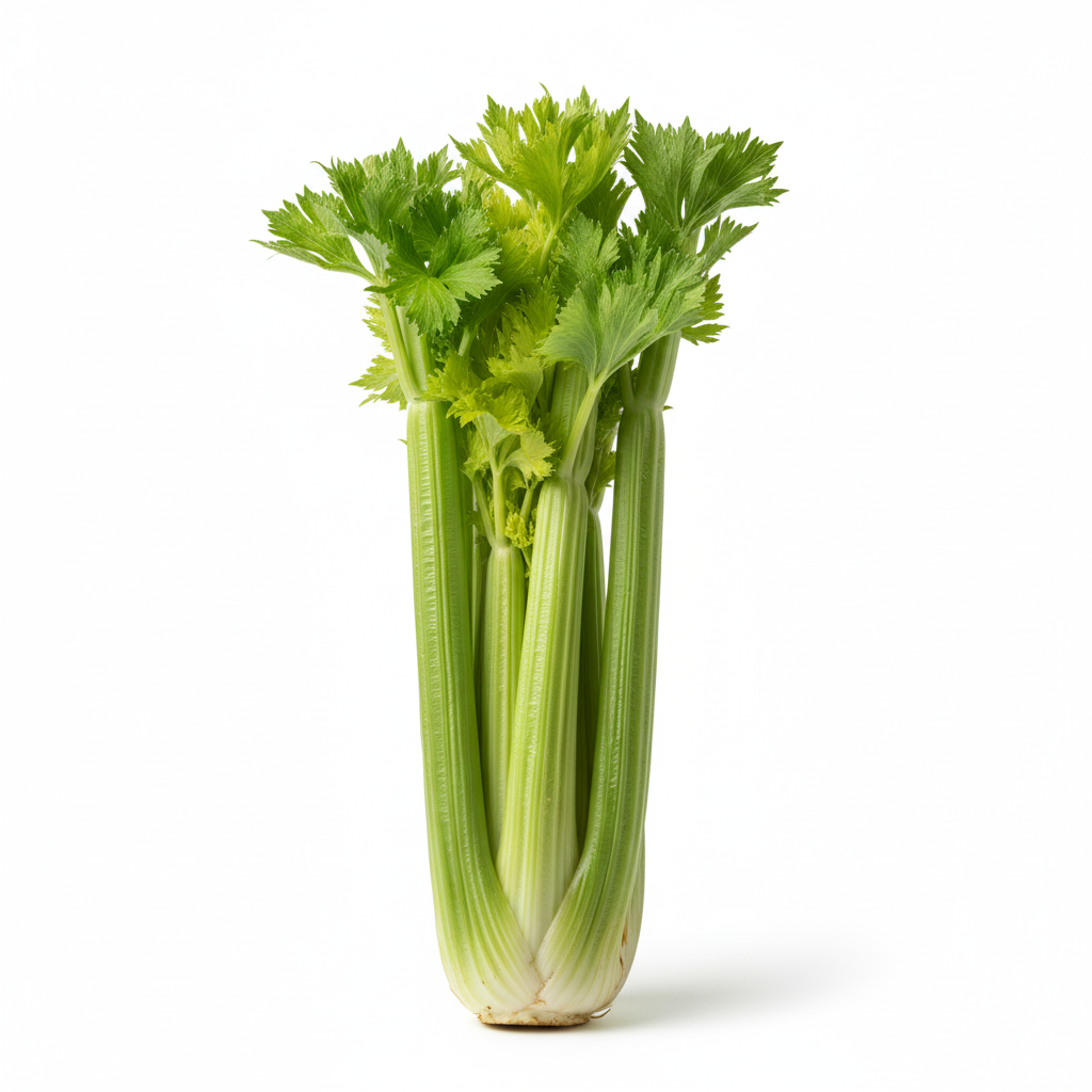Celery