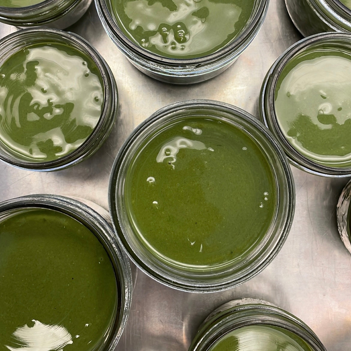 Living Lotus Matcha White Chocolate Cashew Butter 100g