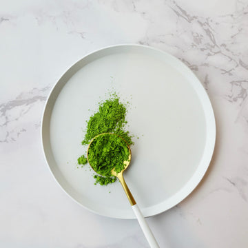 Paragon Tea Room Ceremonial Matcha