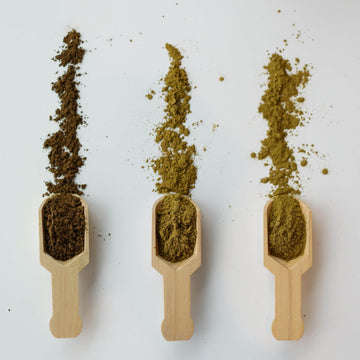 Paragon Tea Room Hojicha Powder Trio (100g x 3)