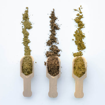 Paragon Tea Room Hojicha Powder Taster Trio (50g x 3)