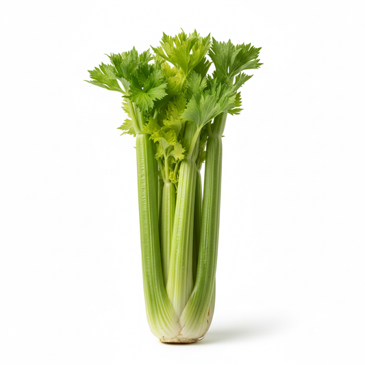 Celery