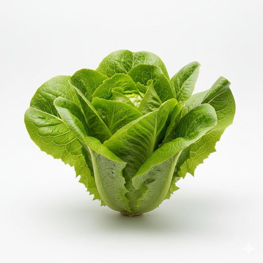 Lettuces Green Leaf