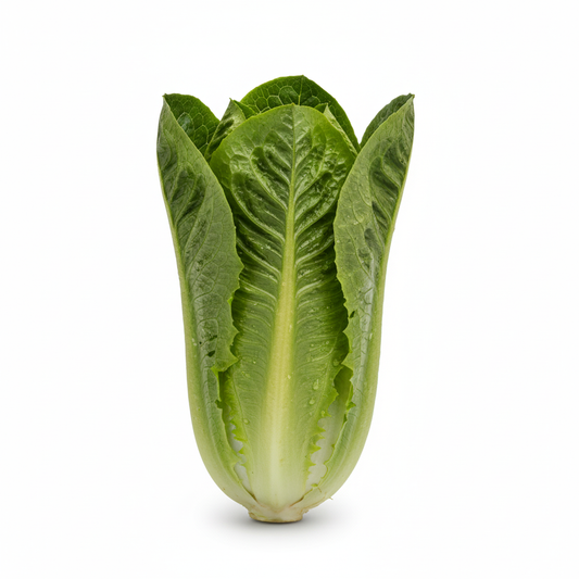 Lettuces Romaine