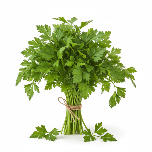 Herbs Parsley Italian