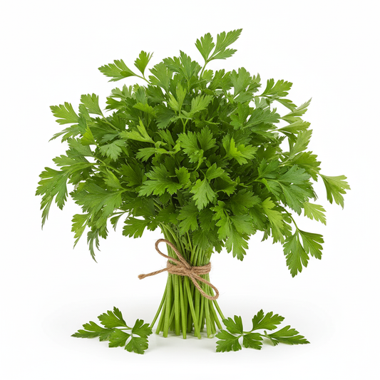 Herbs Parsley