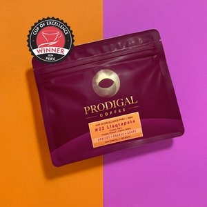 Revolver Prodigal Peru Llaqtapata Cup of Excellence #22 Geisha *Filter*