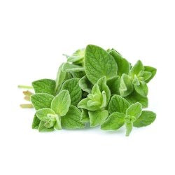 Dioliva Greek Oregano Olive Oil 200mL