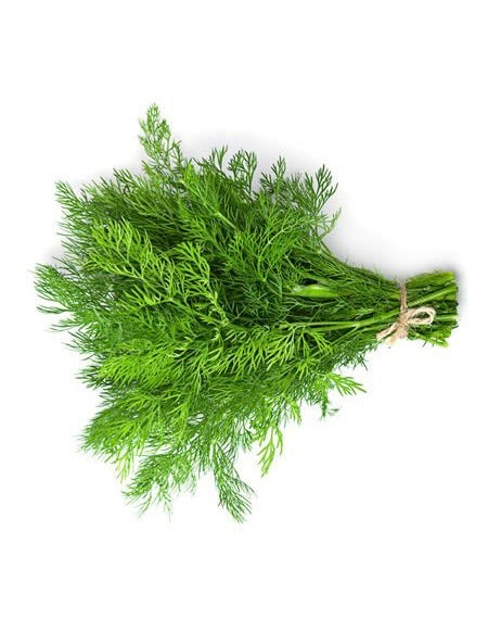 Dioliva Wild Fernleaf Dill Olive Oil 200mL