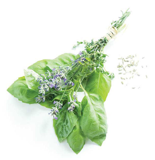 Dioliva Herbs de Provence Olive Oil 200mL