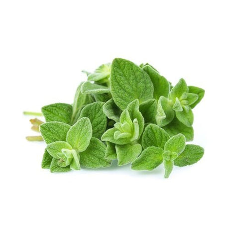 Dioliva Oregano White Balsamic Vinegar 200mL