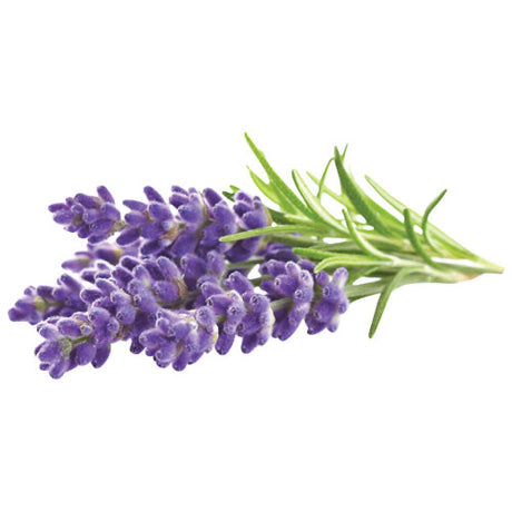 Dioliva Lavender Dark Balsamic Vinegar 200mL