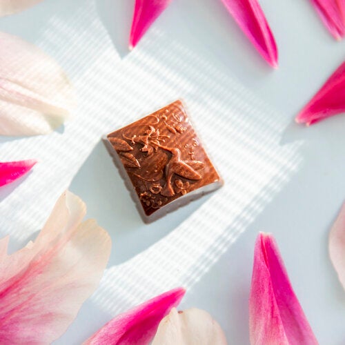 Living Lotus - 57% OAT MILK ARRIBA NACIONAL HUMMINGBIRDS